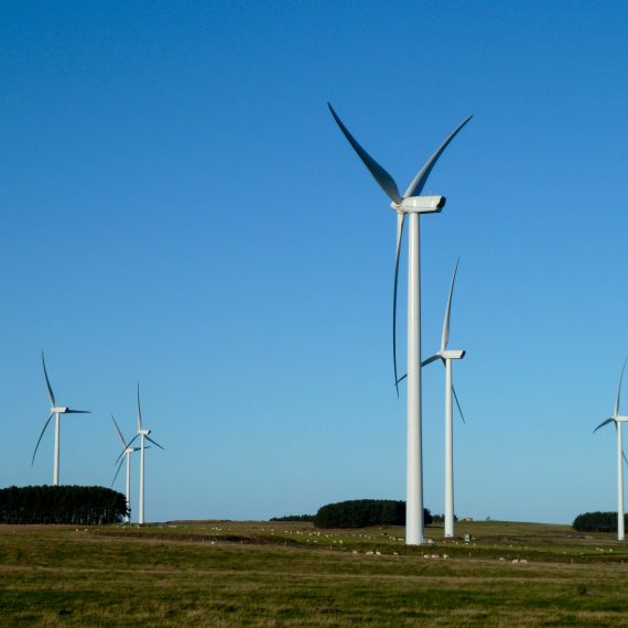Wandylaw wind farm